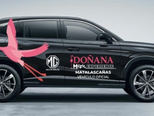 Imagen coche negro